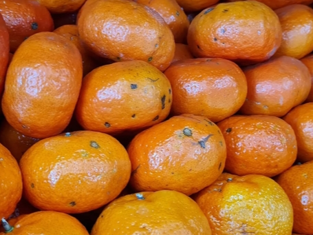 Mandarina okitsu
