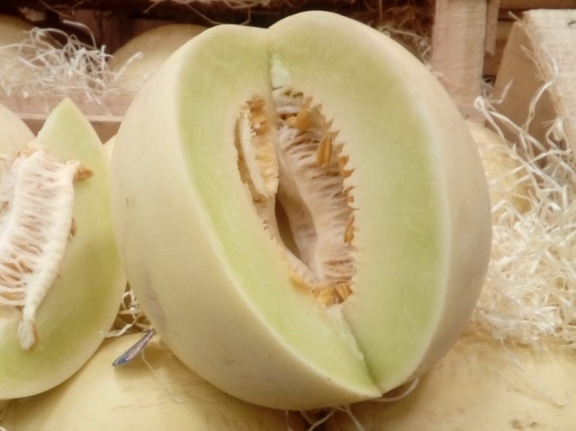 Melón rocío de miel