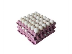 Maple blanco 1,950gr