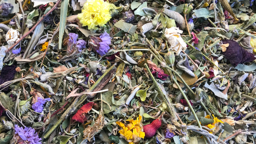 HIERBAS MEDICINALES