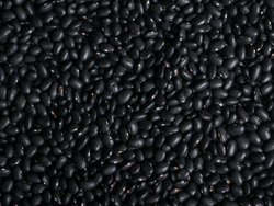 POROTO NEGROS
