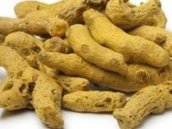 CURCUMA RAIZ