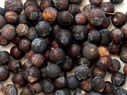 ENEBRO