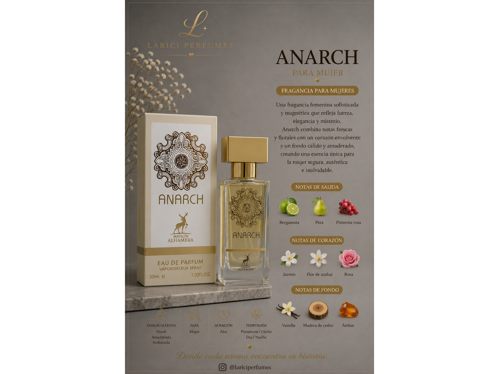 ANARCHE