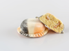 THAI DE CAMARONES, COCO, CURRY, JENGIBRE Y PIMIENTA DE JAMAICA