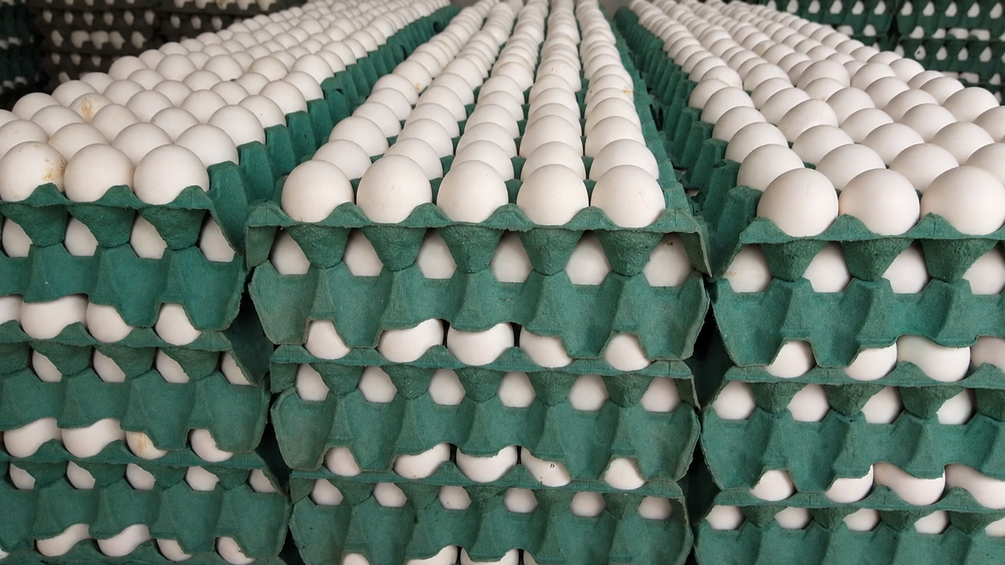 Huevos