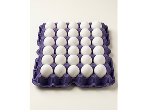 Huevo Blanco N2 - Maple (30 huevos) de Llegamos!