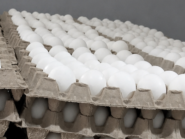 Huevo Blanco N3 - Maple (30 huevos)