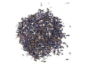 LAVANDA EN FLOR