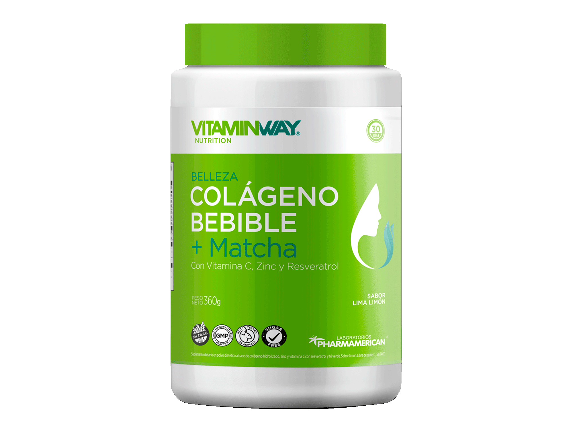 COLAGENO BEBIBLE + MATCHA VW X 360 GRS