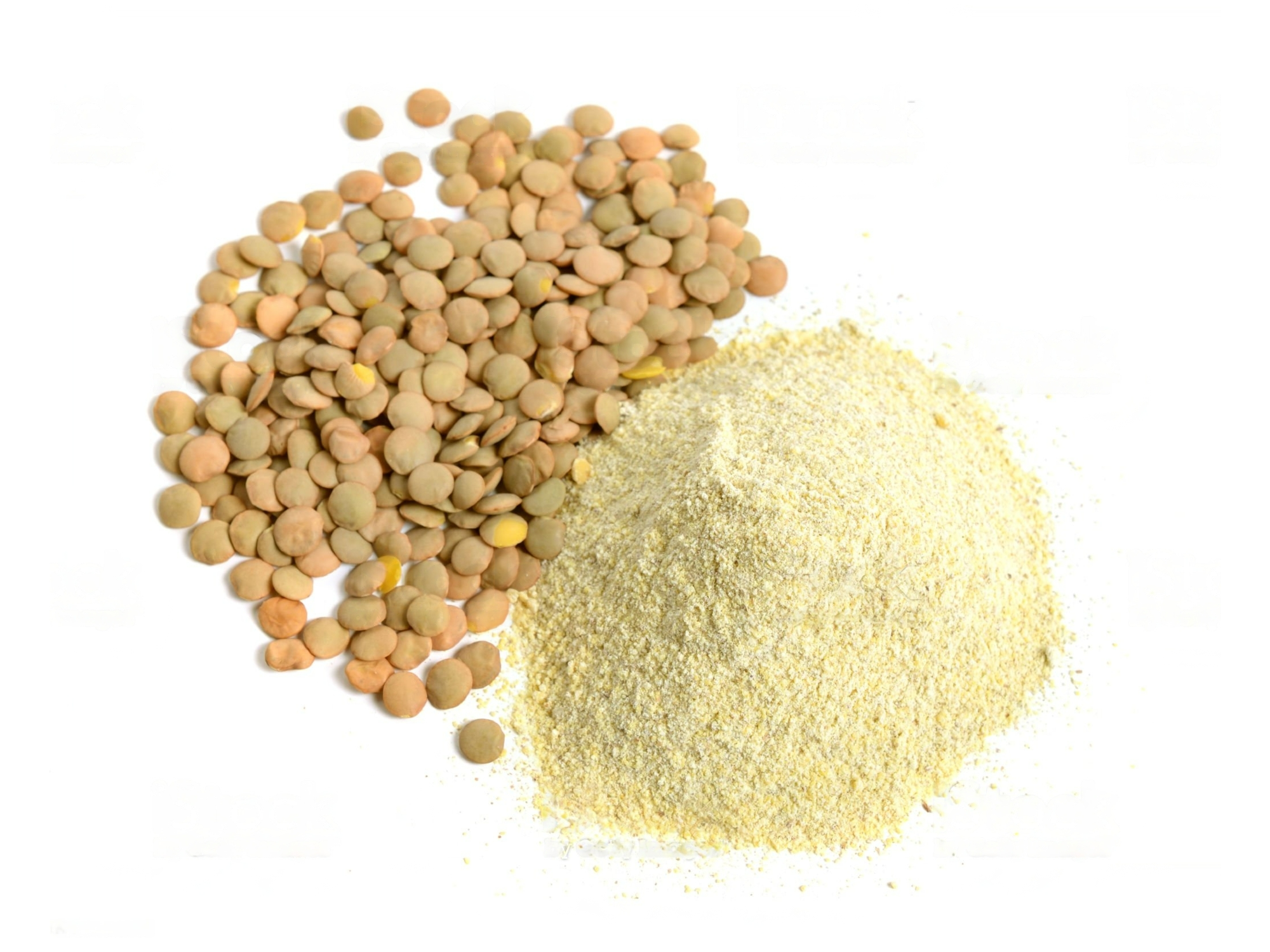 HARINA DE LENTEJAS