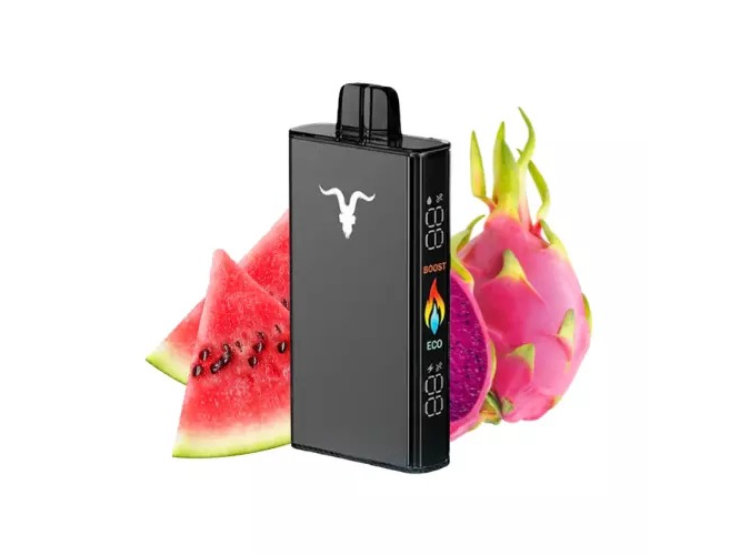 IGNITE V250 BLACK WATERMELON DRAGON FRUIT