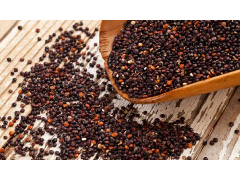 QUINOA NEGRA