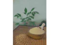 HARINA DE SESAMO INTEGRAL