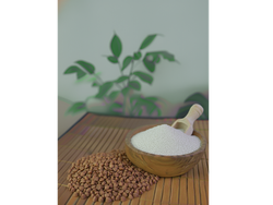 HARINA DE TRIGO SARRACENO