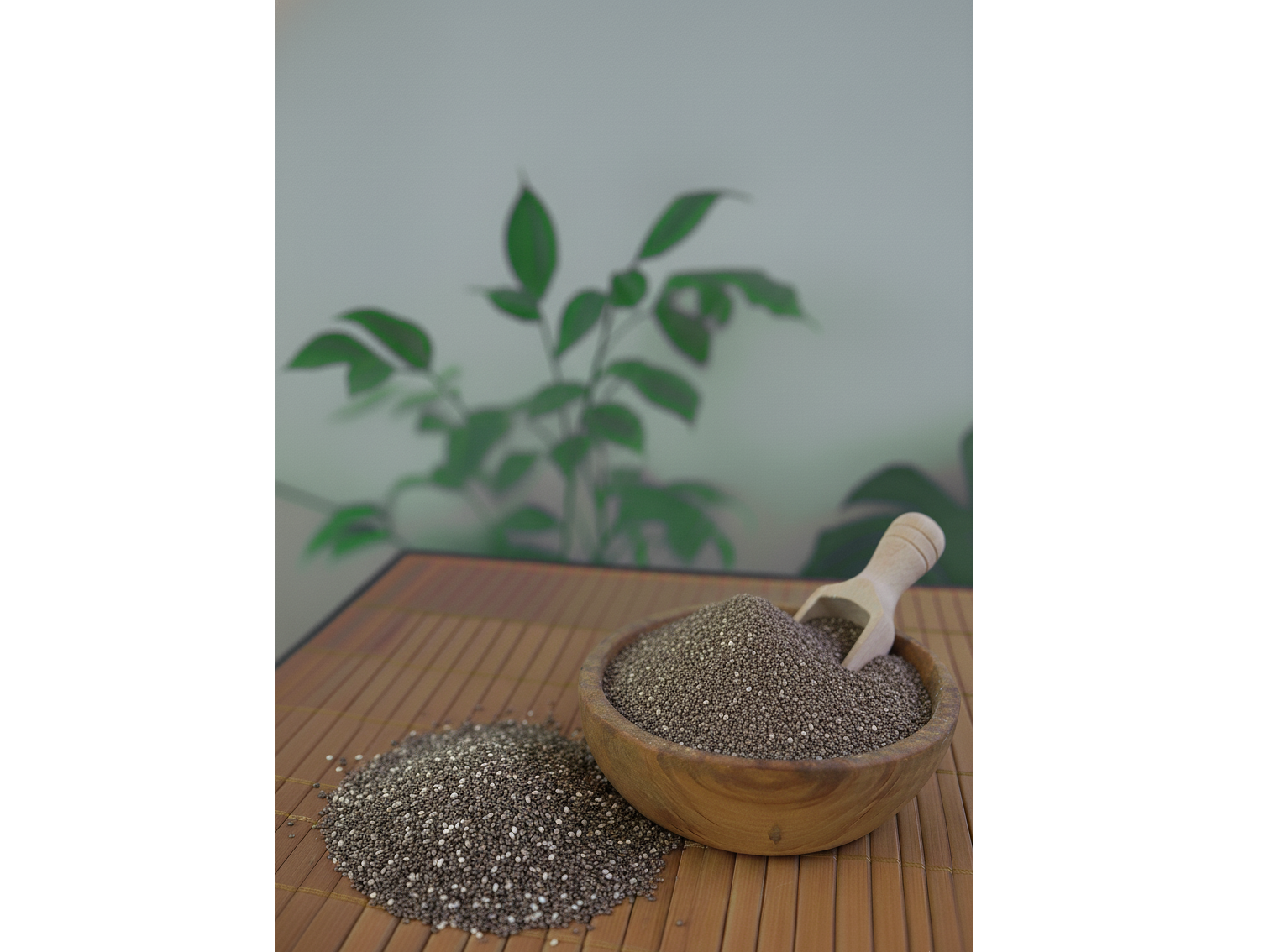 HARINA DE CHIA PREMIUM