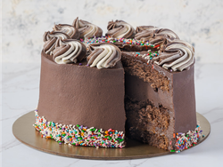 Party Cake Puro Chocolate