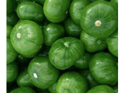 ZAPALLITO VERDE