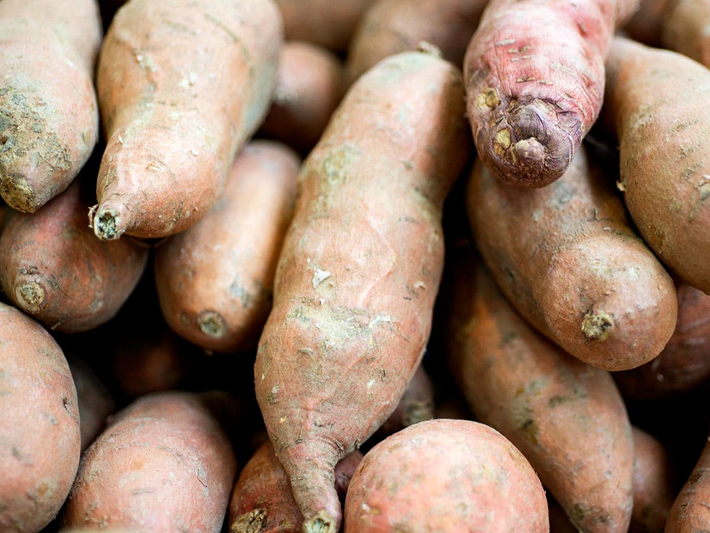 BATATA
