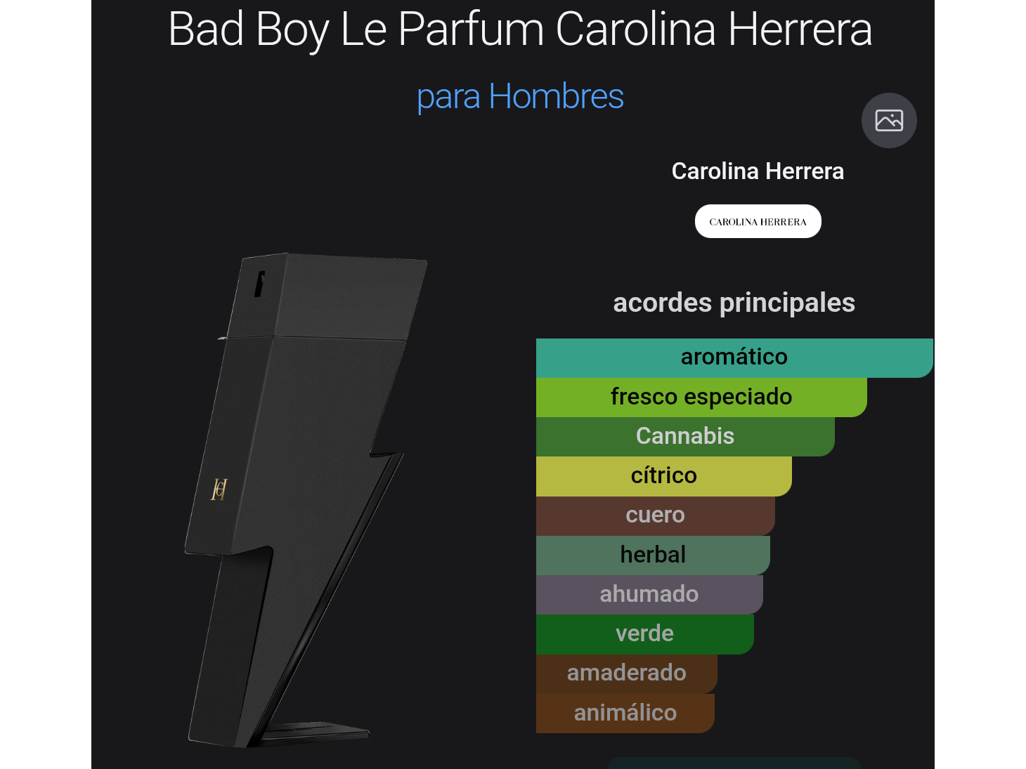 Bad Boy Le Parfum