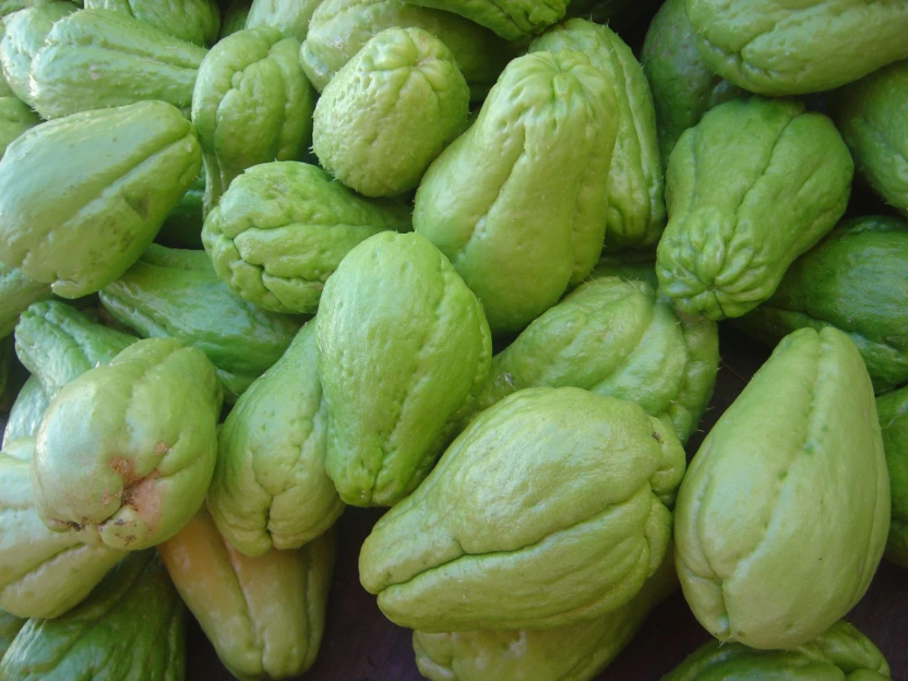 CALABAZA UND