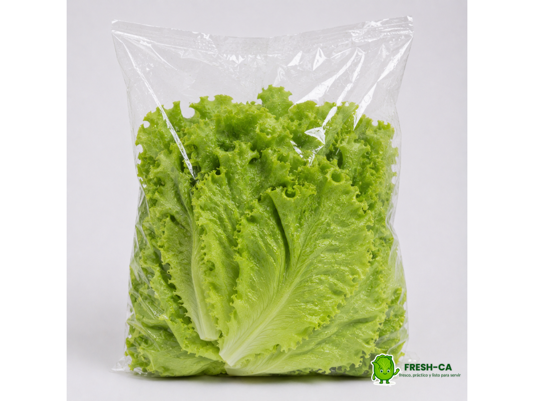 LECHUGA CRESPA DESHOJADA K