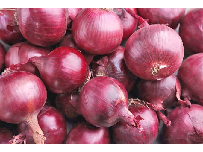 CEBOLLA ROJA K