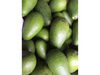 PALTA FUERTE K