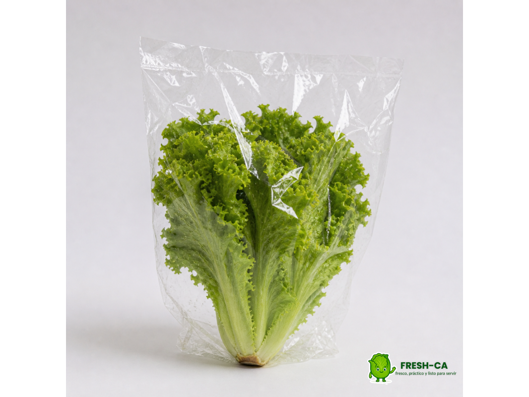 LECHUGA CRESPA ENTERA UND