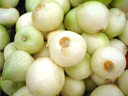 CEBOLLA BLANCA K