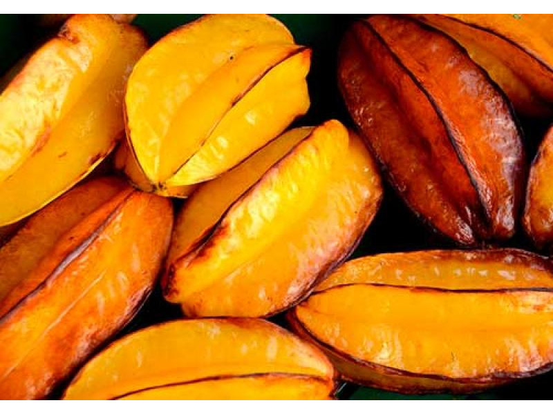 CARAMBOLA K