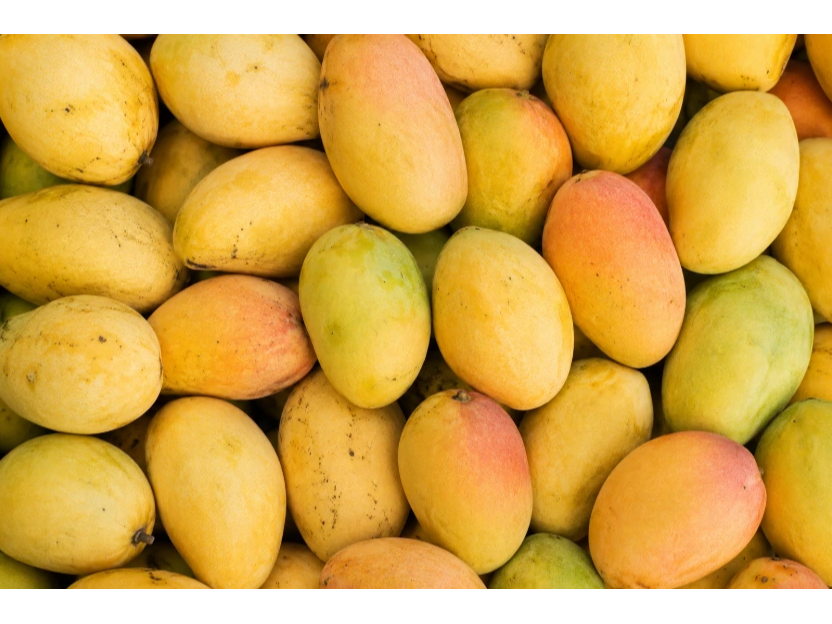MANGO KAFRO K