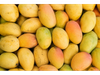 MANGO KAFRO K