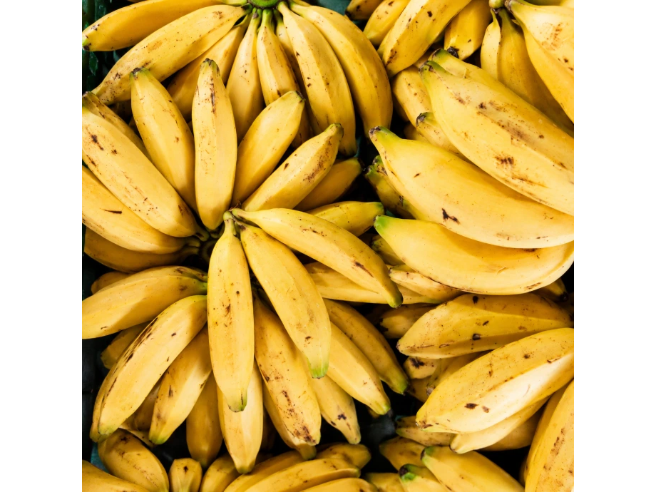 PLATANO DE ISLA ORGANICO 5 UND
