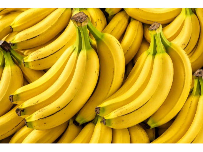 PLATANO DE SEDA ORGANICO 5 UND