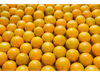 NARANJA DE JUGO K