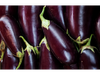BERENJENA UND