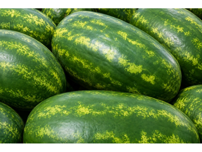 SANDIA 7 K