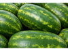 SANDIA 7 K