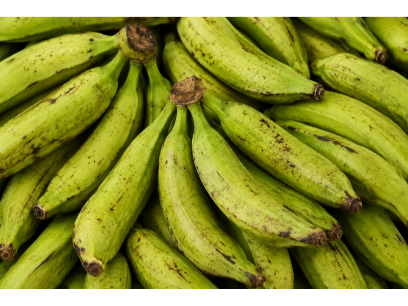 PLATANO BELLACO K