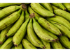 PLATANO BELLACO K