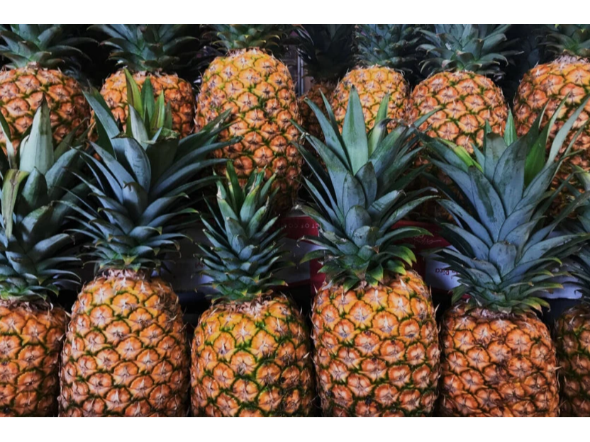 PIÑA GOLDEN 1.5 UND