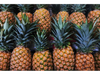PIÑA GOLDEN 1.5 UND