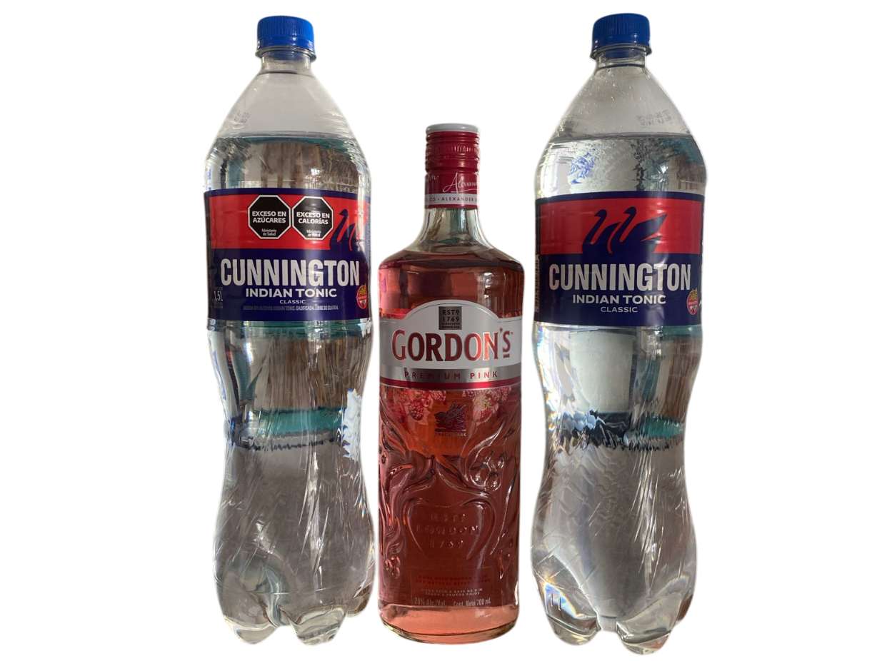GORDONS PINK + 2 TONICAS 1.5L