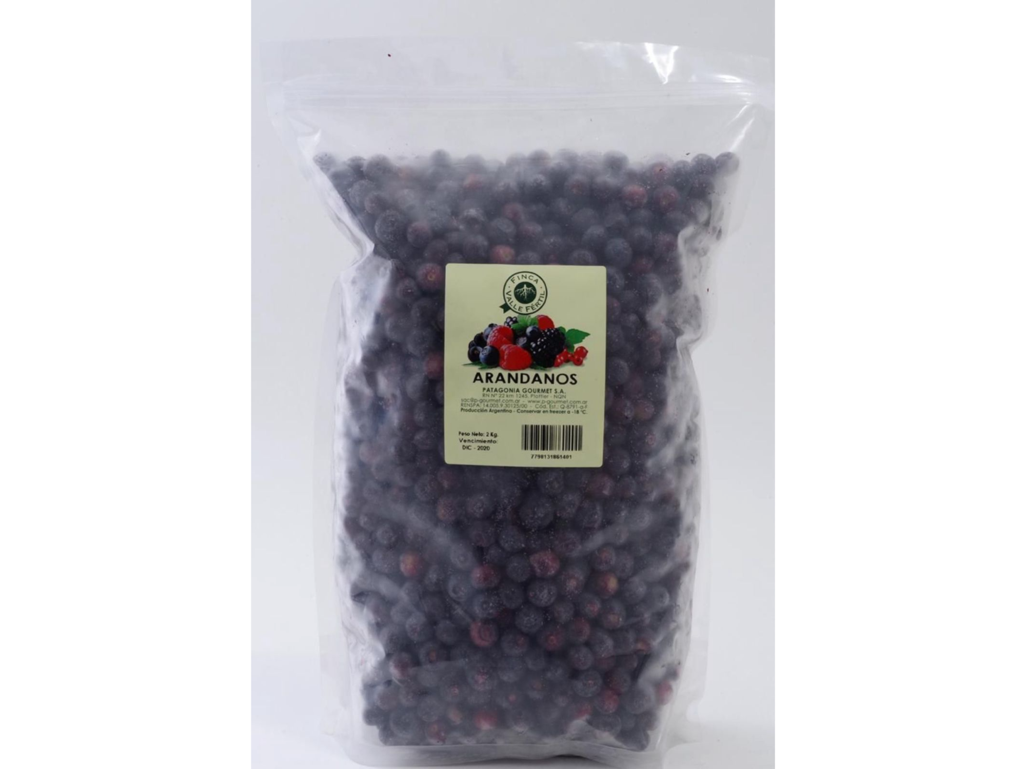 Arándanos x1 kilo