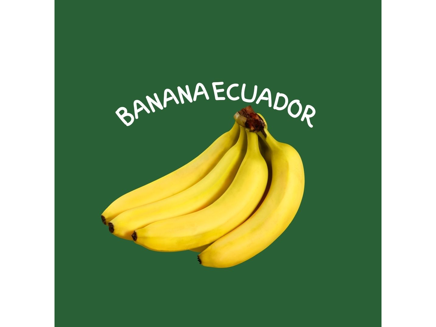 BANANA ECUADOR