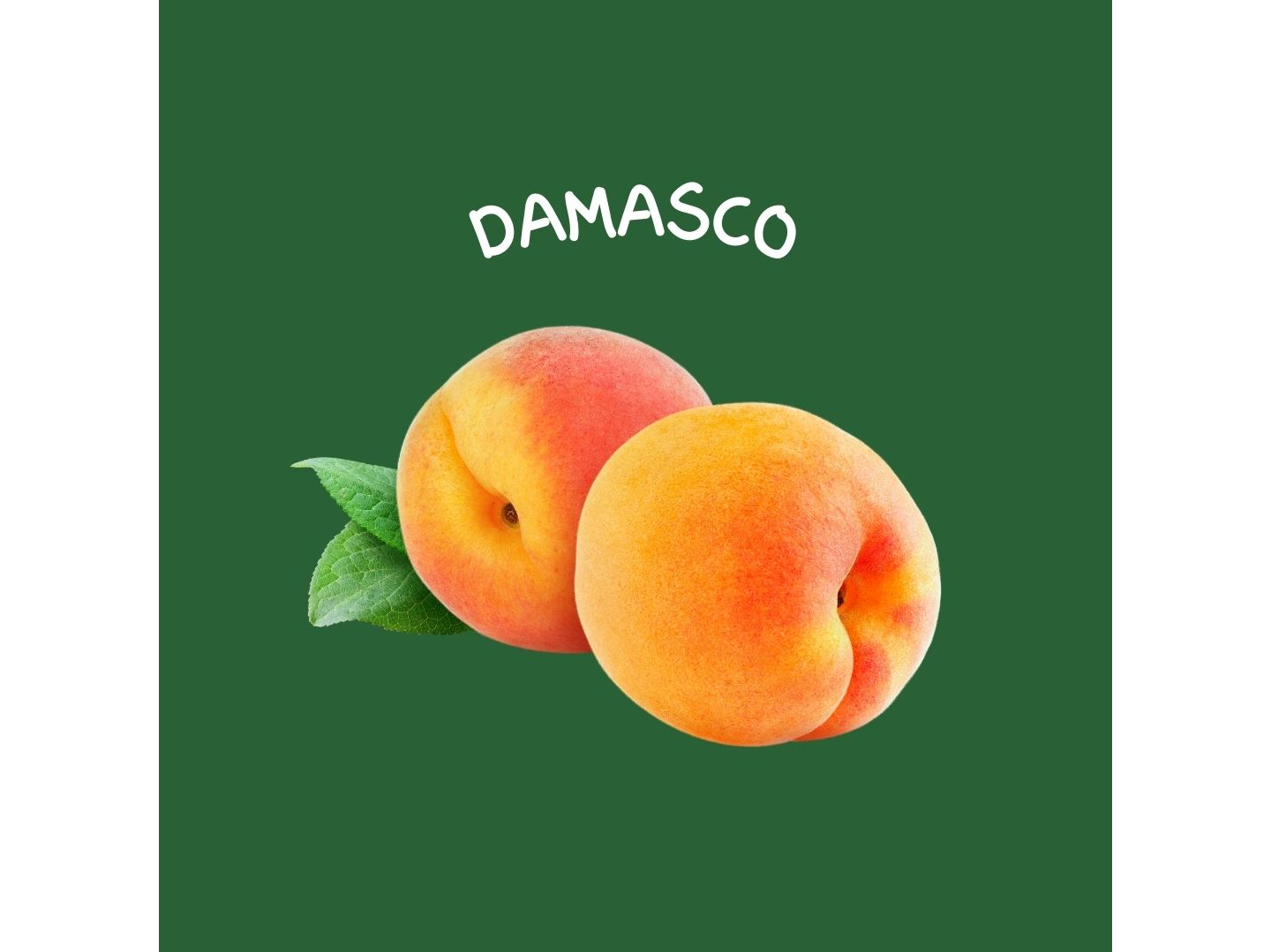 DAMASCO