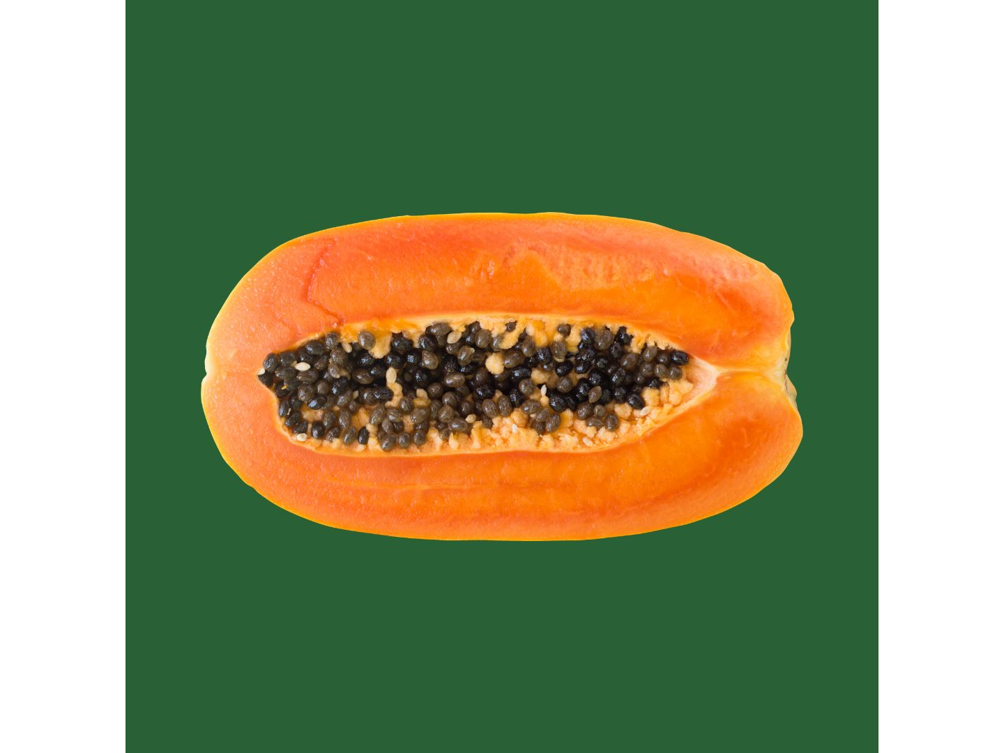 PAPAYA