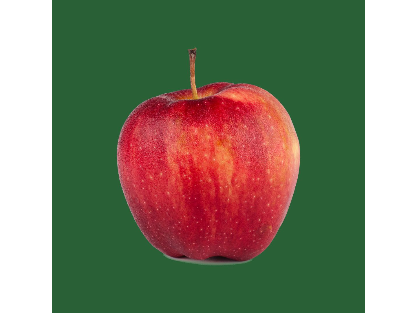 MANZANA