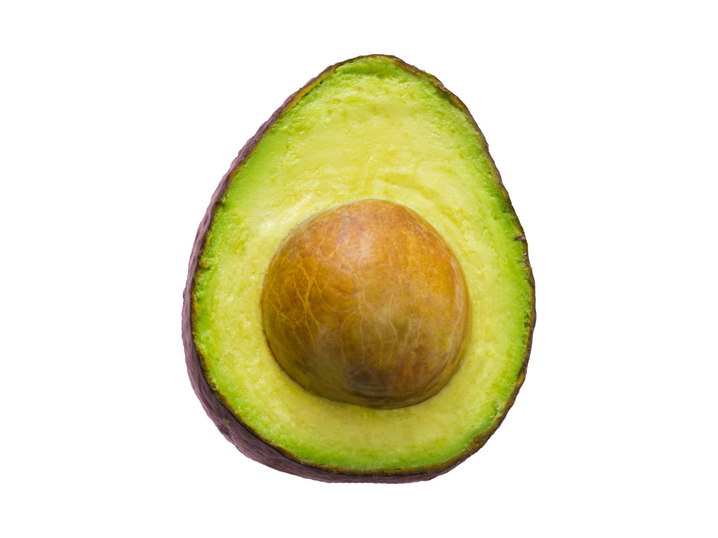 PALTA